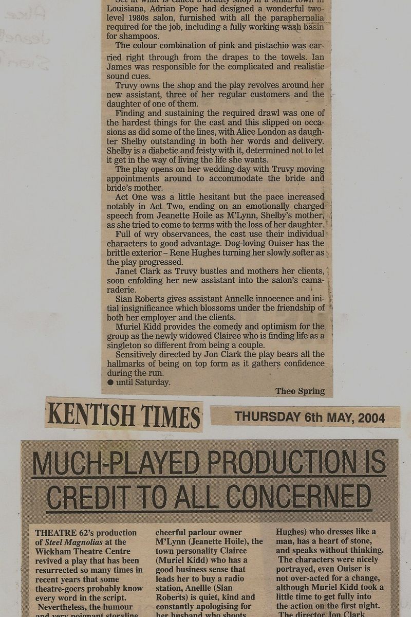 Steel_Magnolias_crit